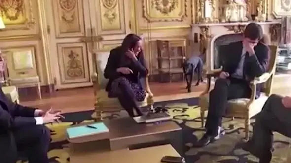 کارخرابی سگ رئیس جمهور فرانسه در یک برنامه تلویزیونی و خنده حضار + فیلم و عکس