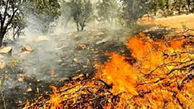 وقوع آتش سوزی در منطقه دو شاخ طاقبستان