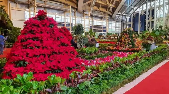 گشایش نمایشگاه گل .و گیاه در تبریز