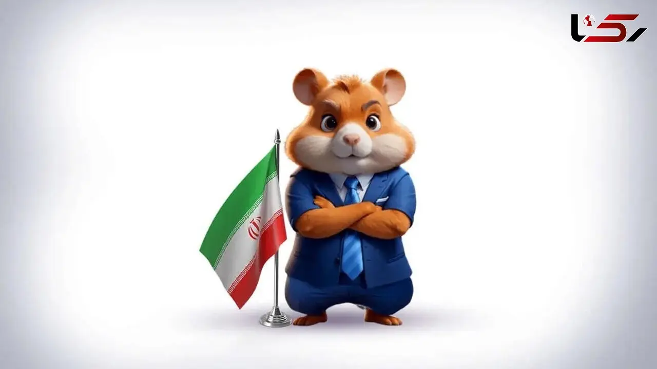 این استان های ایران بیشتر به دنبال همستر کوین بودند + اینفوگرافیک