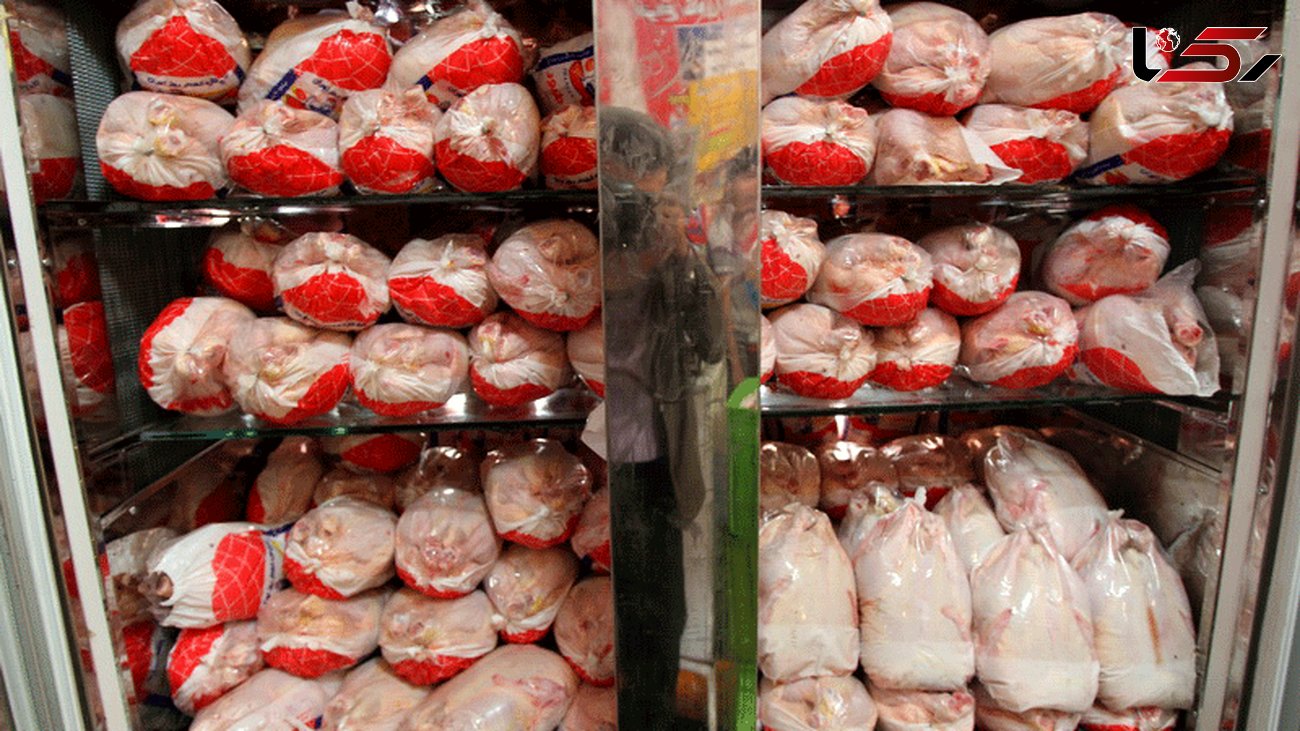  30 هزارتن مرغ گرم تنظیم بازاری از هفته آینده عرضه می شود