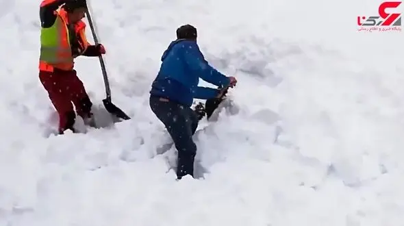 لحظه نجات یک بز از دل برف + تصویر