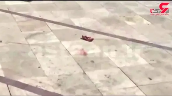 نقش زن ایرانی در حمله تروریستی به حرم امام چه بود؟