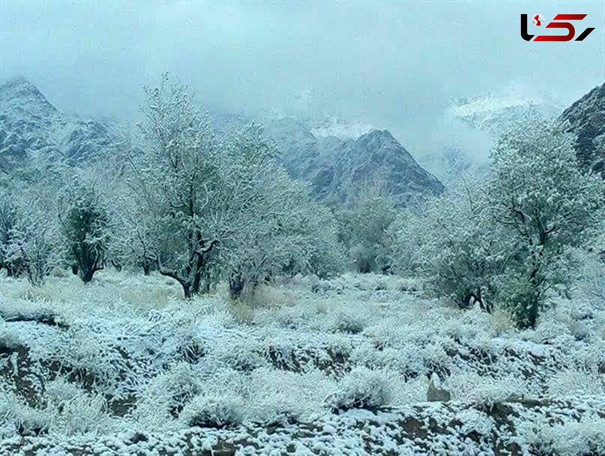 بارش اولین برف زمستانی بر سر کویر/ هشدار برای یخ‌زدگی های پیش رو !