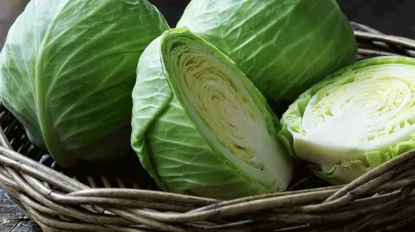 کلم خورها بخوانند