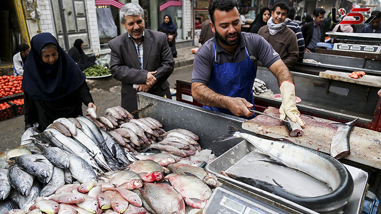فصل صید ماهی کفال چه موقع می باشد ؟ / قیمت انواع ماهی در بازار بهمن ماه 99