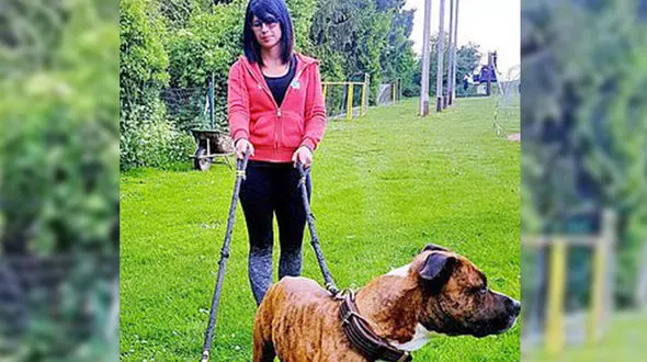 حمله وحشیانه سگ های شکاری به زن جوان در خیابان ! / او 3 ماه دیگر بچه به دنیا می آورد + عکس