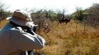دستگیری شکارچی حرفه‌ای سابقه‌دار در دورود