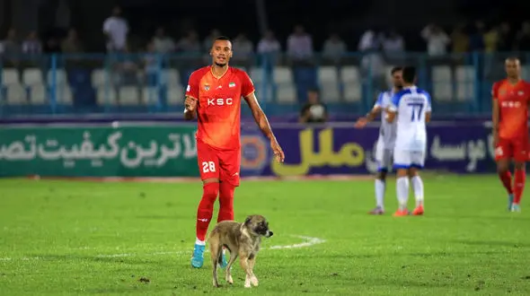 تصاویر سگی که مسابقه ملوان – فولاد را بهم ریخت/ صحنه های عجیب با نقش آفرینی سگ بازیگوش! + عکس