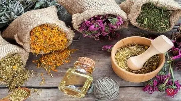 فعالیت متخصصان طب سنتی در 23 کلینیک ناباروری