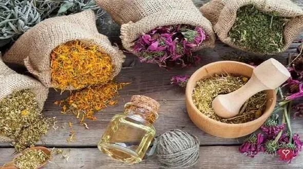 طب سنتی ایرانی هیچ مخالفتی با واکسیناسیون کرونا ندارد