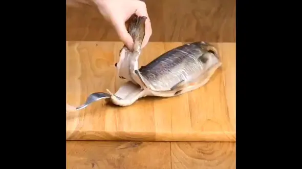 ترفندهای آشپزی که به دردتان می خورد + فیلم