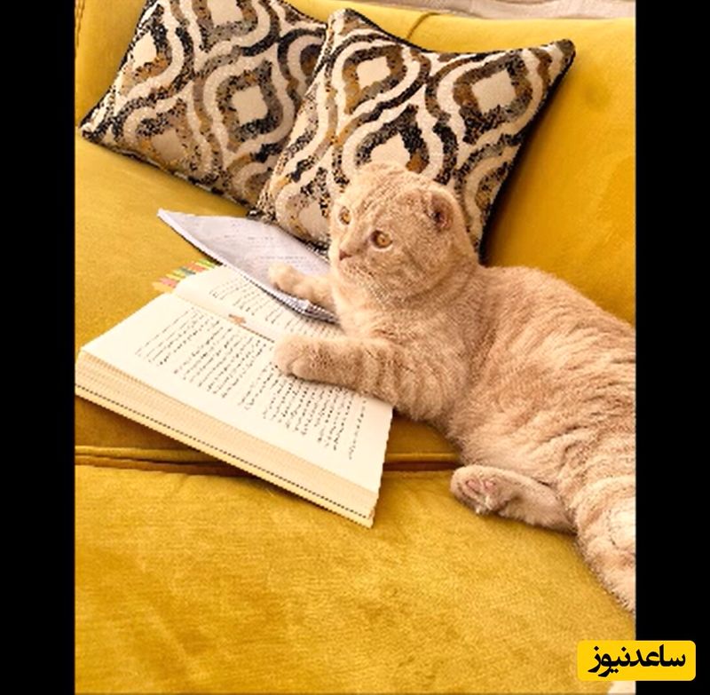خانه بهنوش طباطبایی