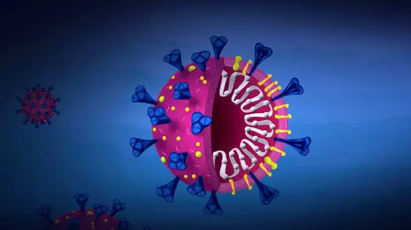 با این علائم  کرونا دارید یا آلرژی + با دقت بخوانید