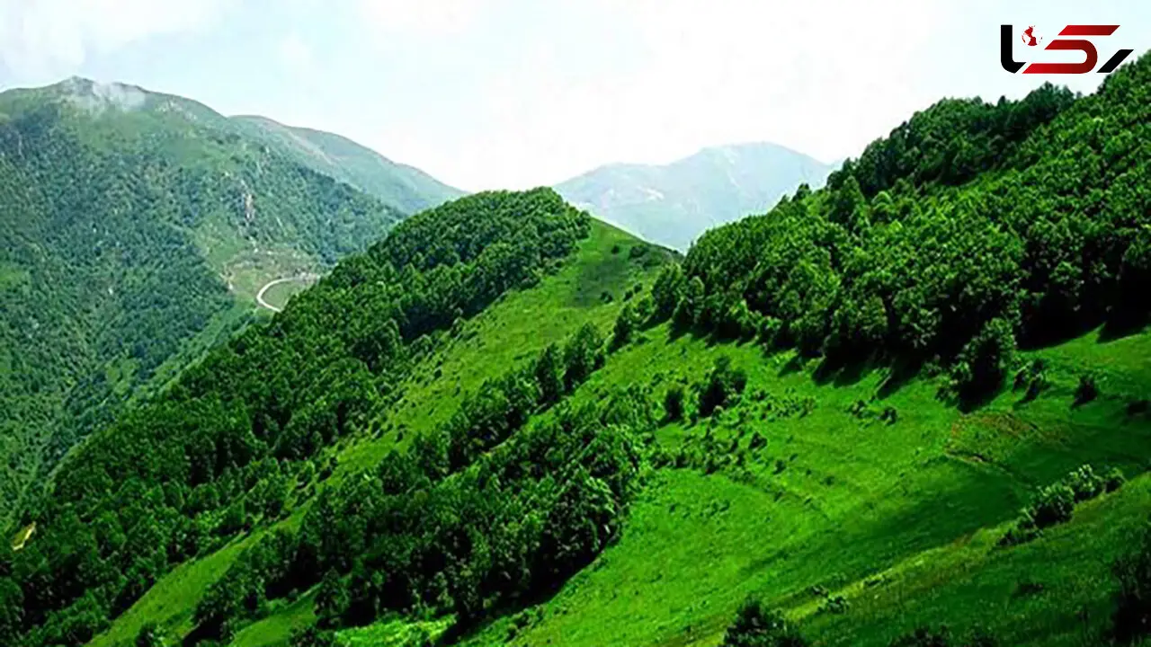 «جنگل دیزمار» ایران ثبت جهانی شد