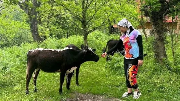 فیلم /  نفیسه روشن با دیدن گاو در شمال: وای چقدرم تو جامعه و شغلم هر روز «گاو» میبینم! .../ دوپاهای .....