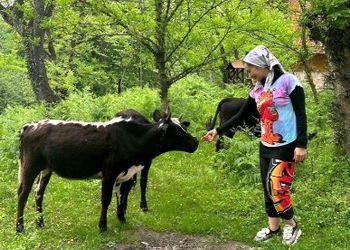فیلم /  نفیسه روشن با دیدن گاو در شمال: وای چقدرم تو جامعه و شغلم هر روز «گاو» میبینم! .../ دوپاهای .....
