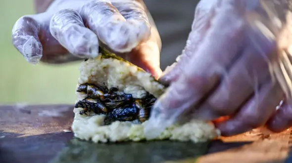 عکس های چندش آور از خوردن حشرات 