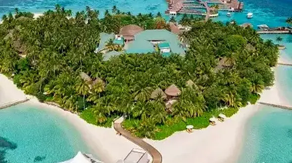 از دیر باز شدن چتر نجات تا عصبانی شدن شیر