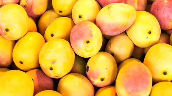 کنترل قند خون با این میوه خوشمزه