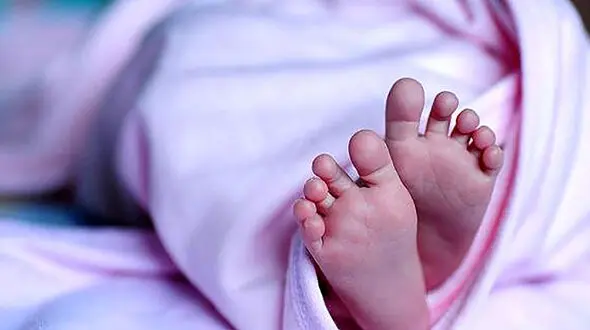 علت فوت 6 نوزاد در بیمارستان هاجر شهرکرد  / تیم ویژه دادستانی تشکیل شد!