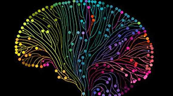 استرس با پوست و موی شما چه می کند؟