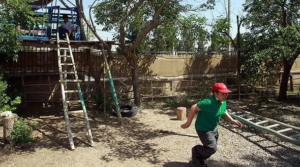 دریافت شهریه های قابل توجه در مدارس طبیعت