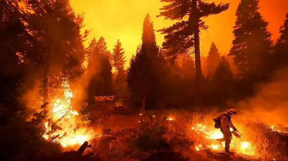 زیبایی وحشتناک / جنگل‌های کالیفرنیا در میان شعله‌های سوزان آتش + فیلم