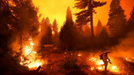 زیبایی وحشتناک / جنگل‌های کالیفرنیا در میان شعله‌های سوزان آتش + فیلم