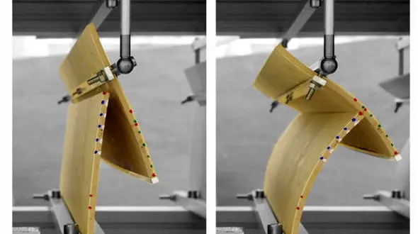 فرار از گرما با الهام از این میوه جنگلی/ساخت سایبان با کاج