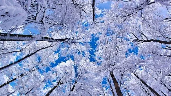 بارش برف در 20 شهر ایران / هشدار هواشناسی 