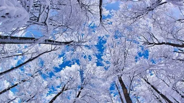 آخرین خبرها از بارش برف و باران در نیمه غربی کشور