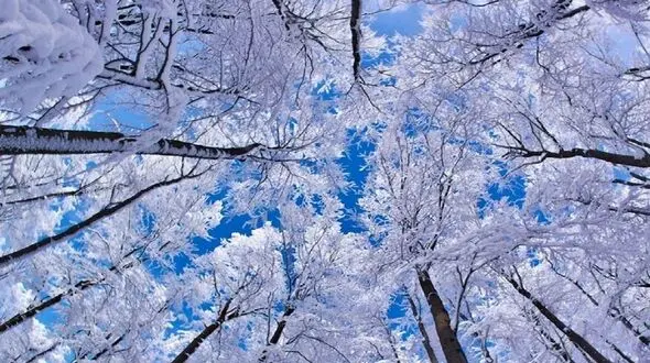 آخرین خبرها از بارش برف و باران در نیمه غربی کشور