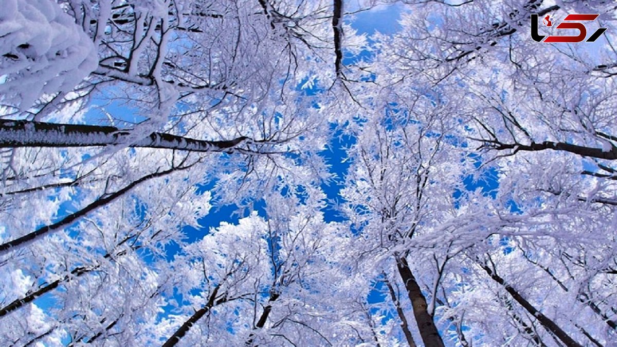 آخرین خبرها از بارش برف و باران در نیمه غربی کشور