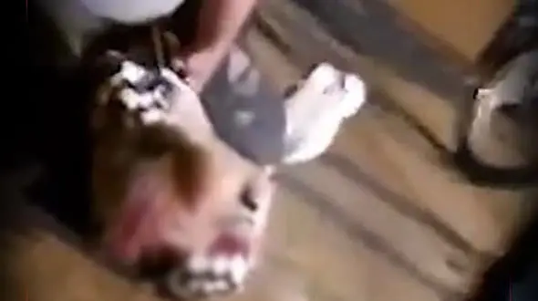 فیلم / کتک زدن یک دختر در برازجان / آن مرد پلیس نبود