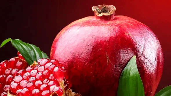 یلدای خونین در کرمانشاه / سردار خوشبخت: بیش از صد زن و کودک کشته شدند + جزئیات