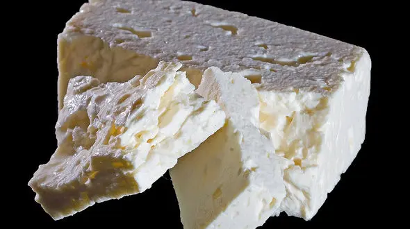 پنیر جلوی پوسیدگی دندان را می گیرد