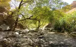 پیاده روی در کوه های دارآباد تهران با این نماهنگ بی کلام + فیلم 