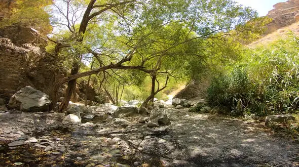 پیاده روی در کوه های دارآباد تهران با این نماهنگ بی کلام + فیلم 