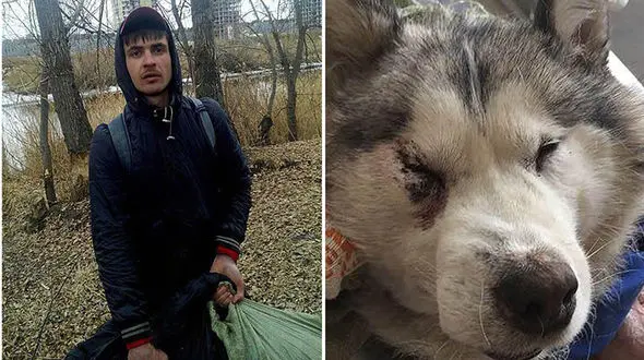 جزییات هولناک سگ کشی برای فروش گوشت به کبابی ها! + عکس