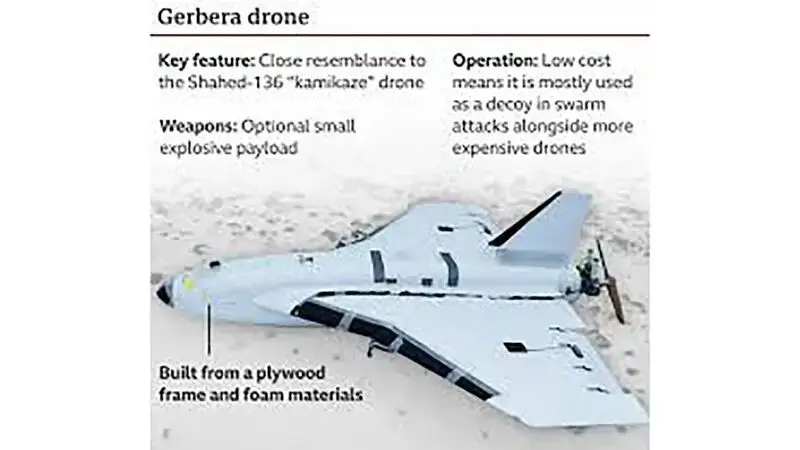 Mother of Drones2