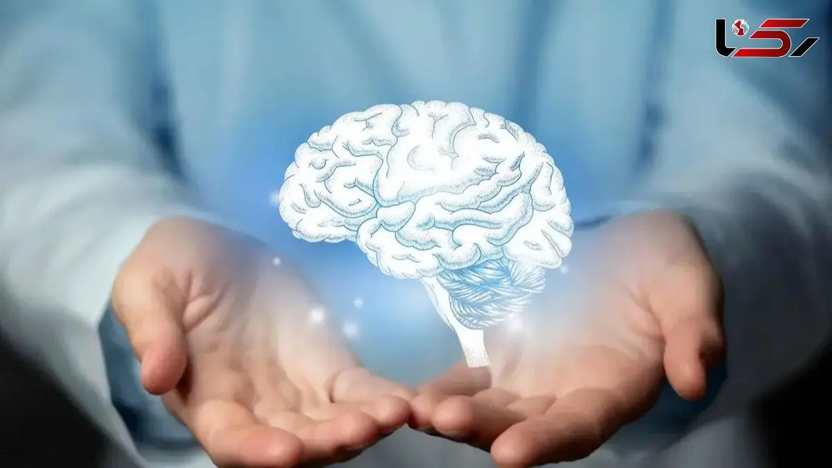 افشای راز جوانی با تقویت مغز، عضلات قوی و چربی کمتر