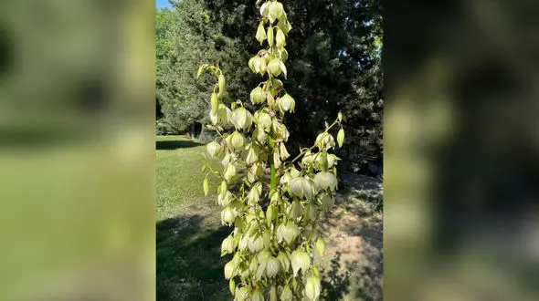 فال ابجد امروز / 29 اردیبهشت ماه + فیلم 