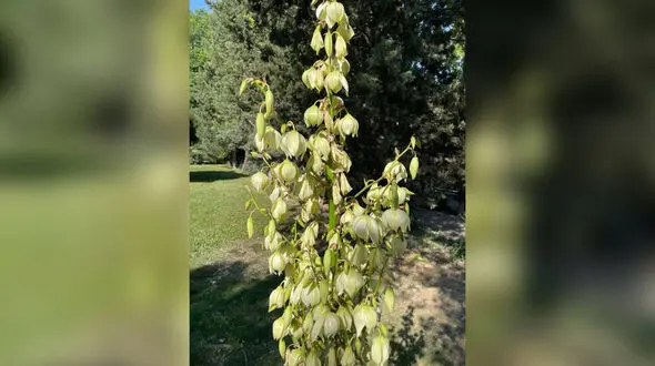 فال ابجد امروز / 29 اردیبهشت ماه + فیلم 