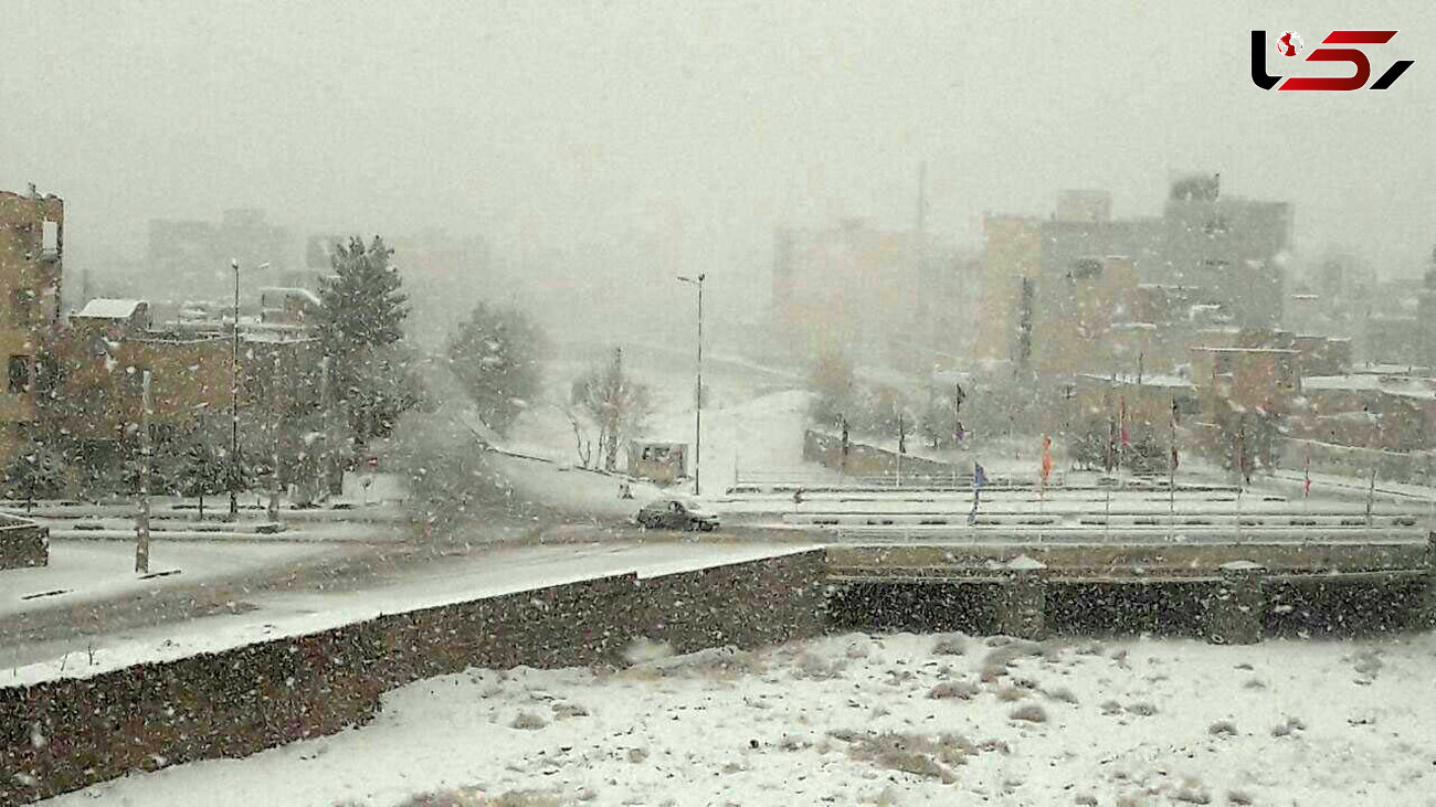 تعطیلی دانشگاه‌های کردستان در پی بارش برف و کولاک