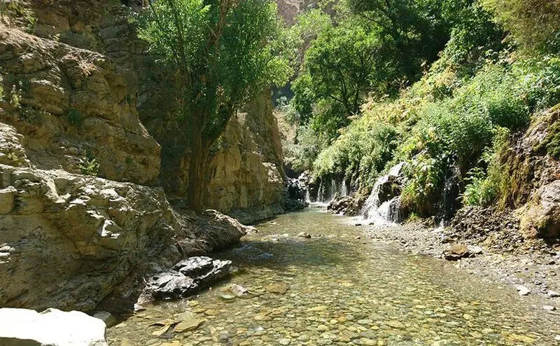 زیبایی ارنگه کرج