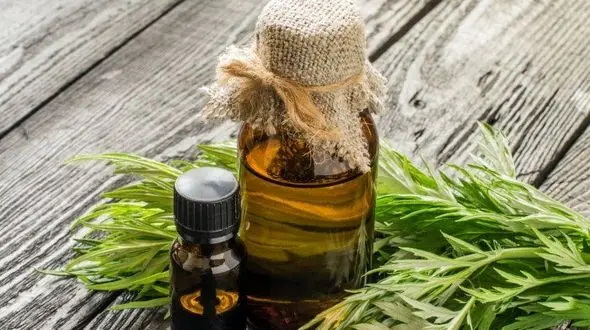 روغن خراطین چه خواصی دارد؟