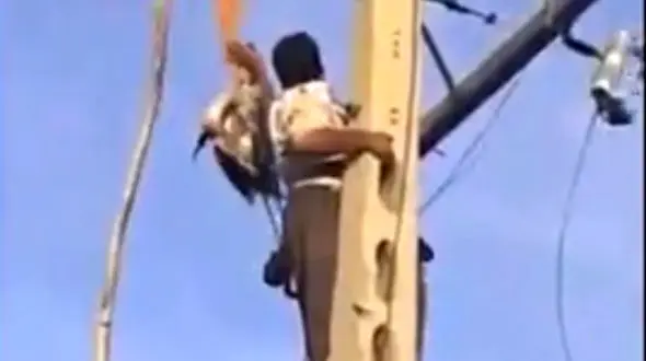 مرگ تلخ پدر مهابادی در زمان رها کردن لک لک از تیر برق + فیلم