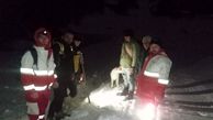 عملیات نجات سه کوهنورد در جنگل فندقلو + جزئیات