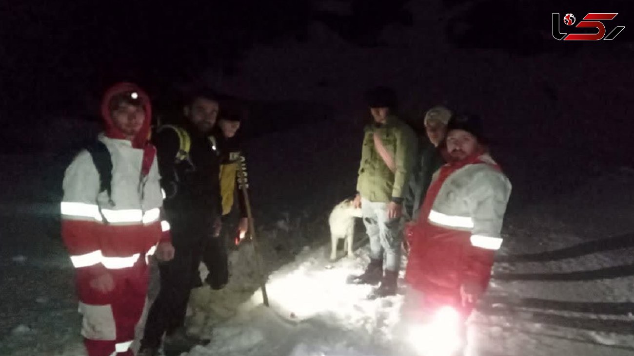 عملیات نجات سه کوهنورد در جنگل فندقلو + جزئیات